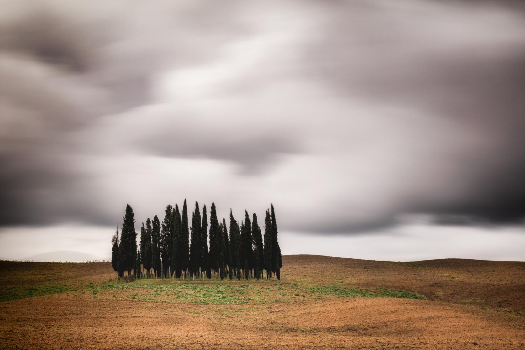 I cipressini (studio4)