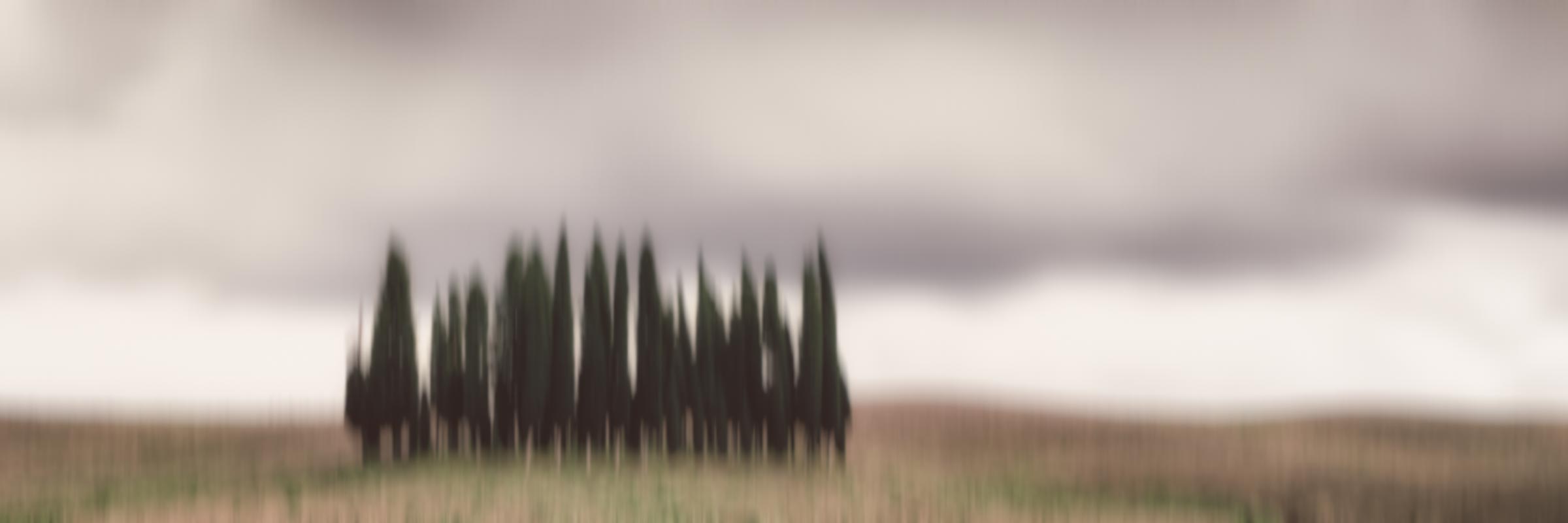I cipressini (studio 7)